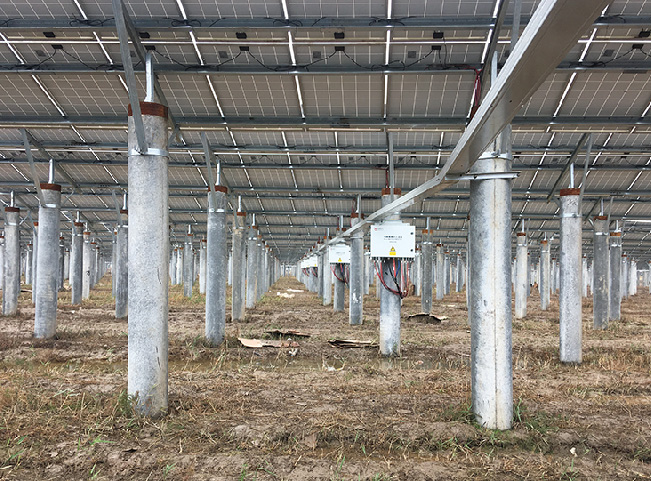 浙江中核匯能寧波市鶴浦鎮(zhèn)30MW農(nóng)光互補(bǔ)電站.jpg