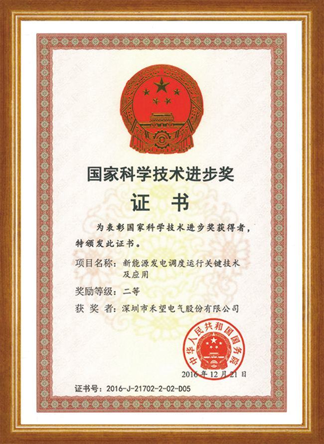 以光之名  禾望光伏攜手國家電網(wǎng)點(diǎn)亮安徽六安 (5).jpg